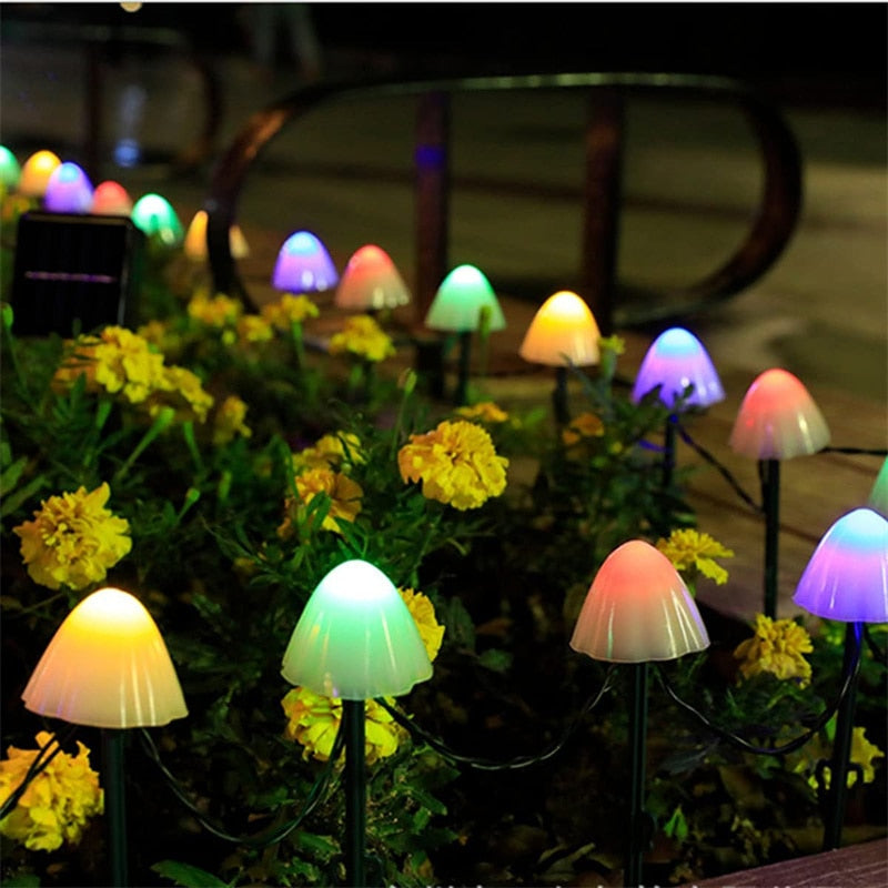 LED Outdoor Solar Garden Lights