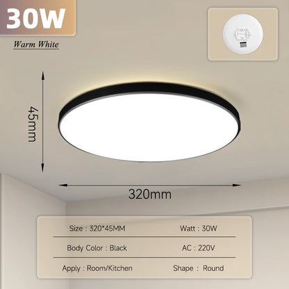 Ultra Thin Ceiling Lighting Fixture