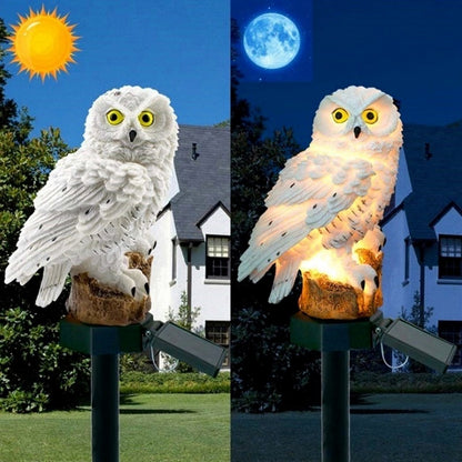 Solar Powered LED Lights Garden