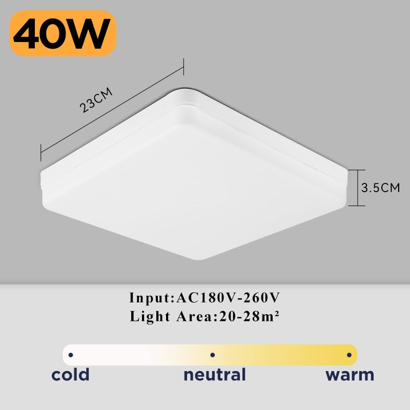 LED Ceiling Lamp Indoor Lighting