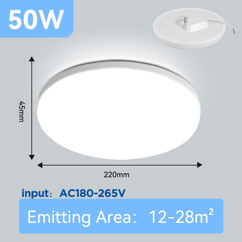 LED Ceiling Lamp Indoor Lighting