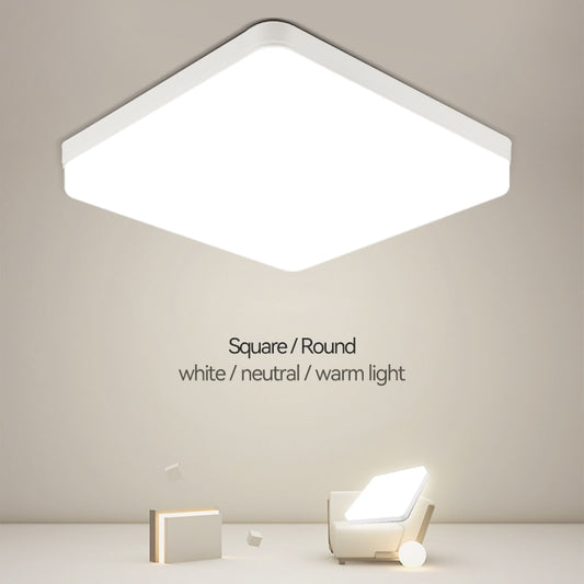 LED Ceiling Lamp Indoor Lighting