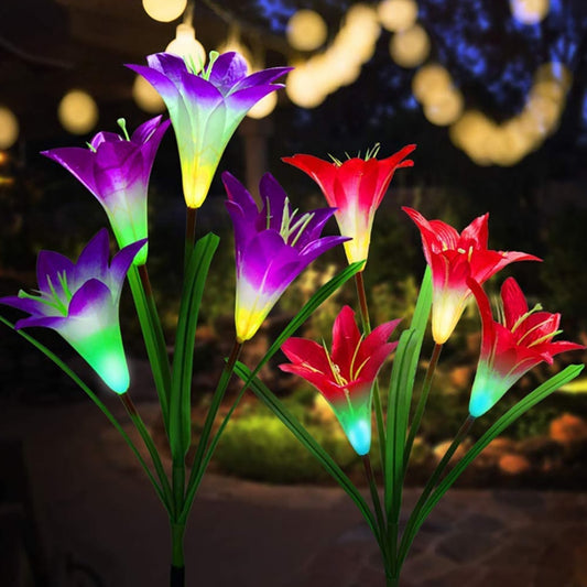 Outdoor Solar Lights for Garden