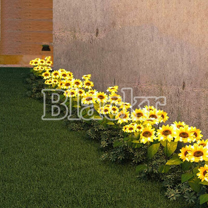 Outdoor Solar Powered LED Lights