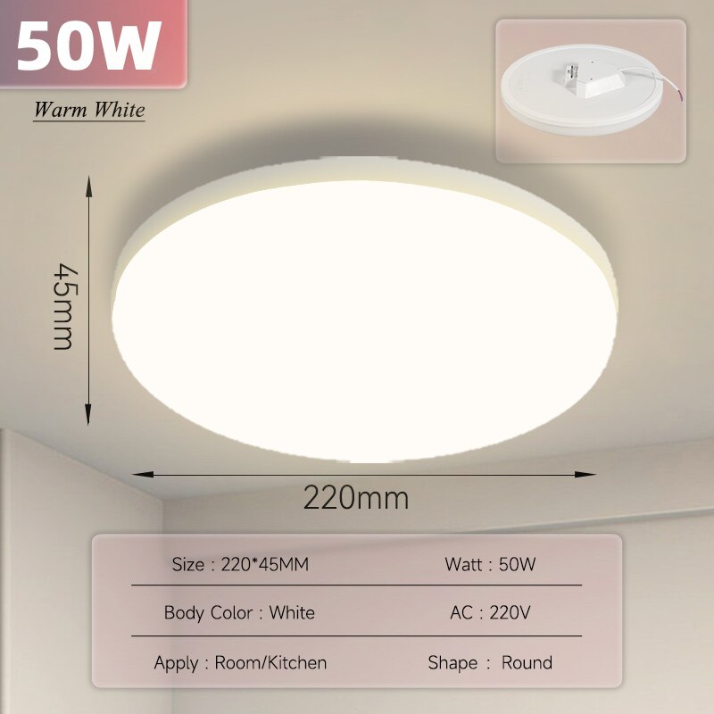 Ultra Thin Ceiling Lighting Fixture