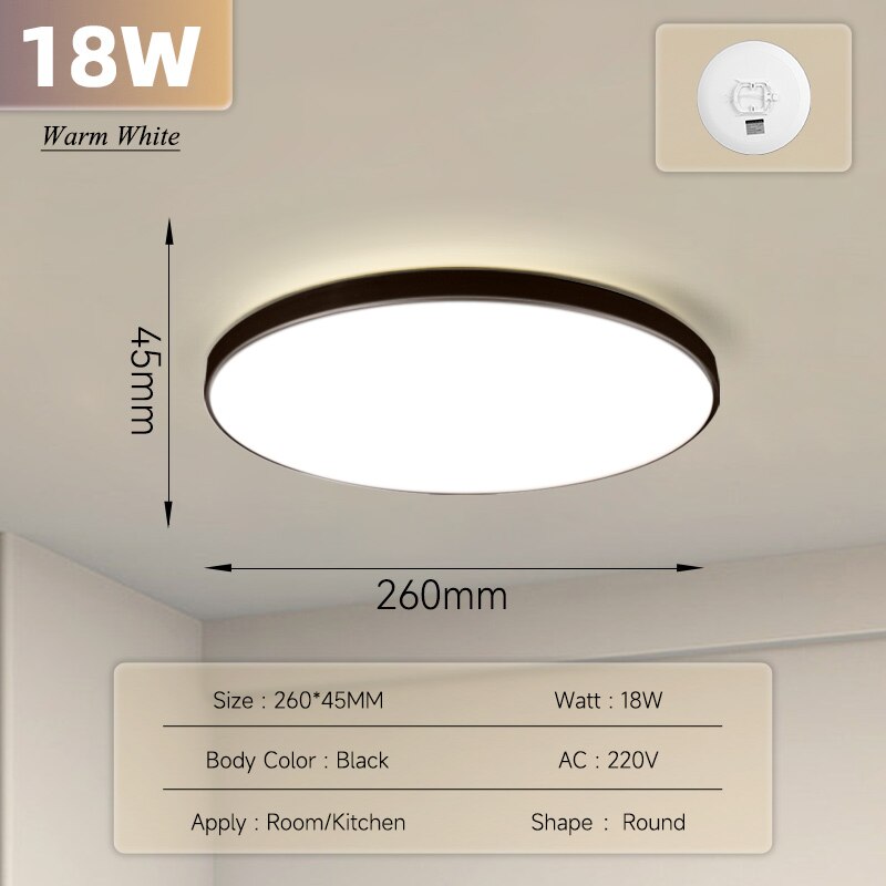 Ultra Thin Ceiling Lighting Fixture