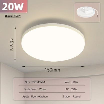 Ultra Thin Ceiling Lighting Fixture