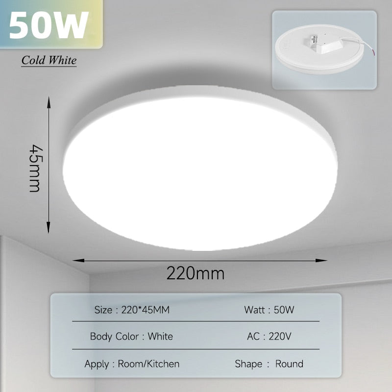 Ultra Thin Ceiling Lighting Fixture