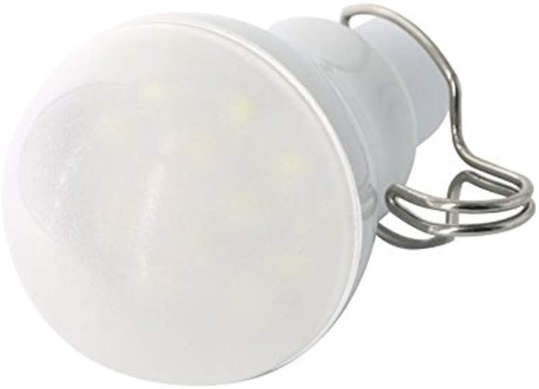 Solar Led Light Bulb Outdoor